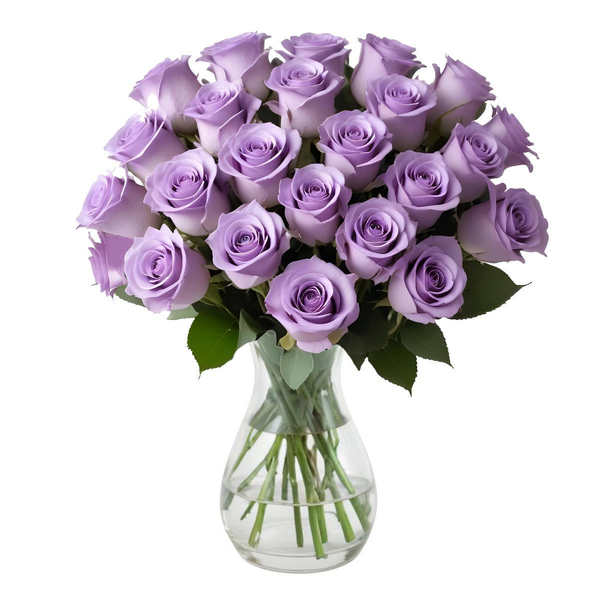 25 Fresh-Cut Purple Roses