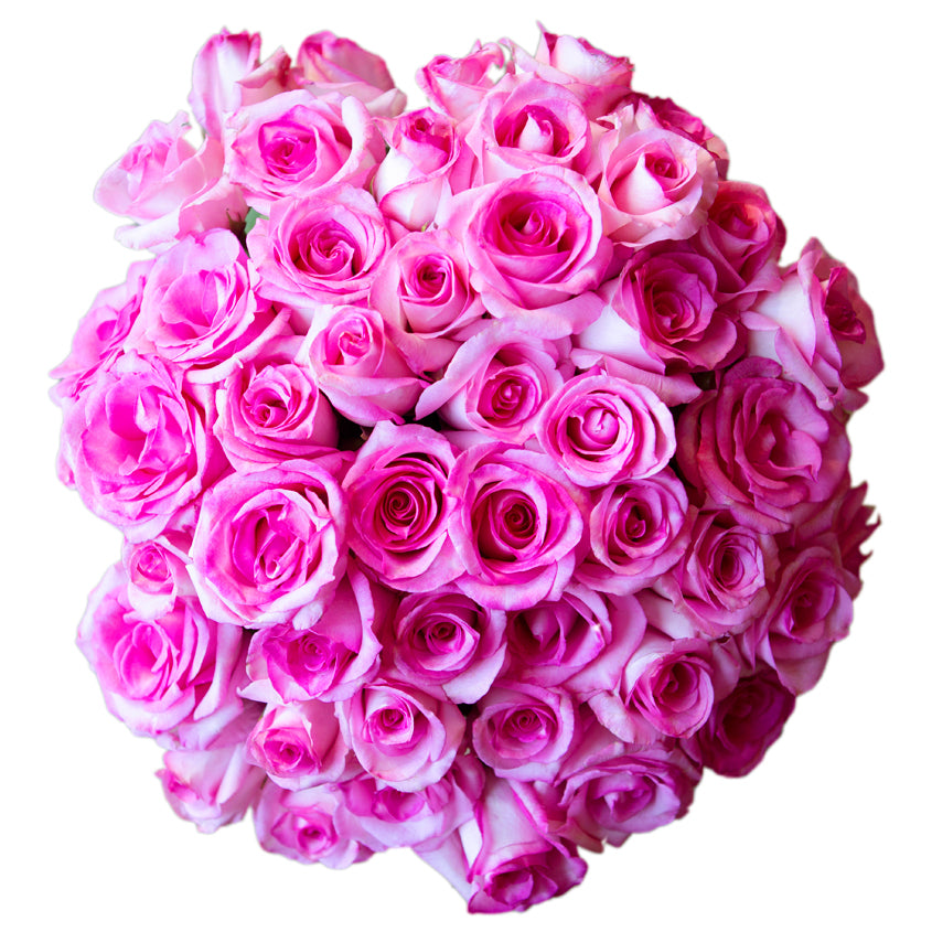 50 Fresh-Cut Pink Roses