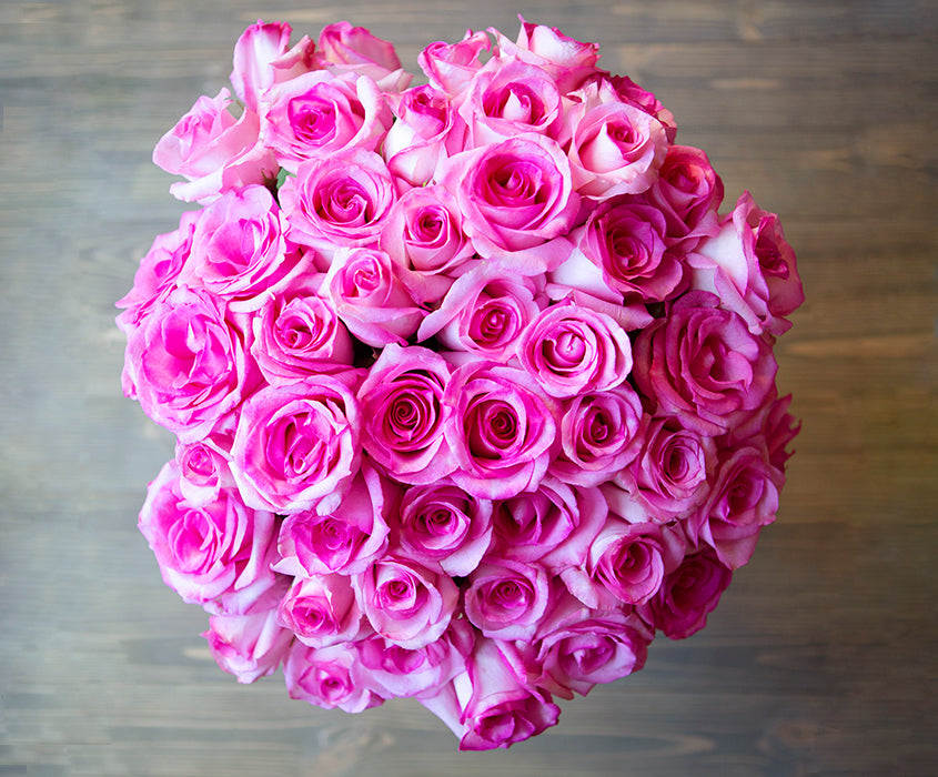 50 Fresh-Cut Pink Roses