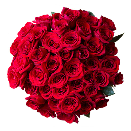 50 Fresh-Cut Red Roses