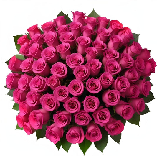 100 Fresh-Cut Hot Pink Roses