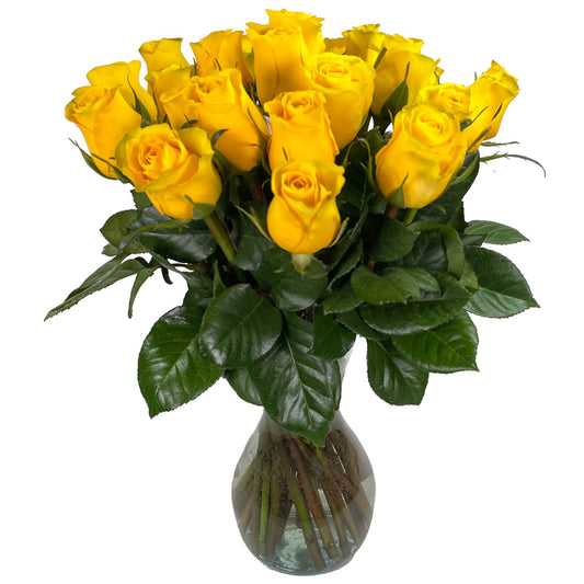 25 Fresh-Cut Yellow Roses