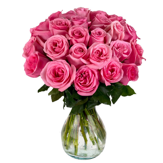 25 Fresh-Cut Pink Roses